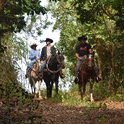 Maui Mountain Activities
