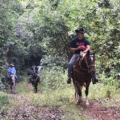 Maui Mountain Activities