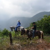 Maui Mountain Activities
