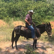 Maui Mountain Activities