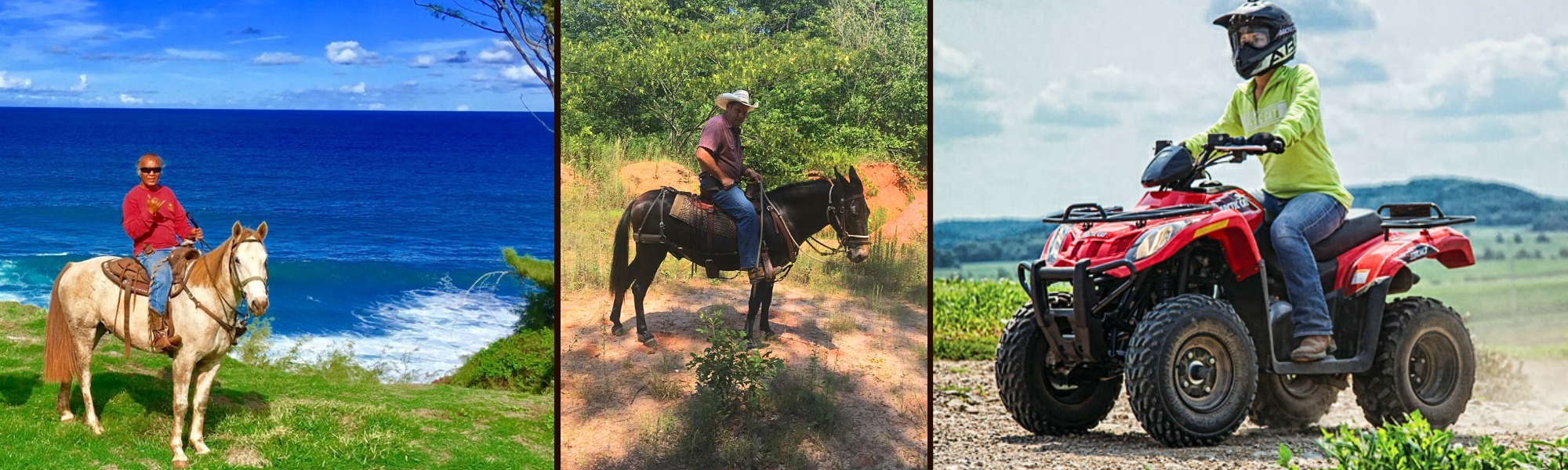 Maui Mountain Activities Photo Gallery